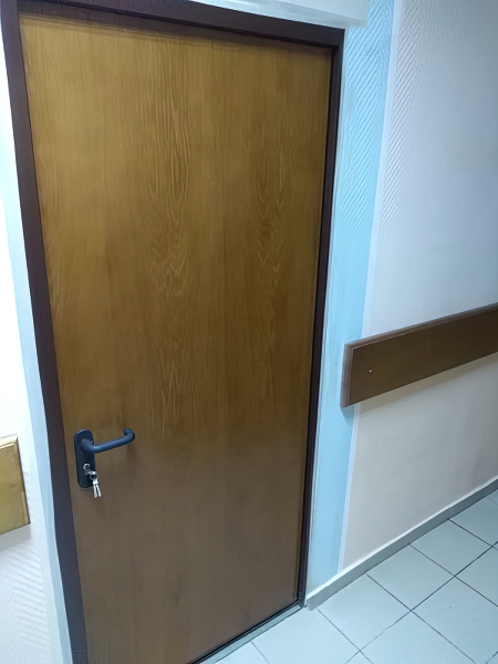 Огнестойкие двери с МДФ панелями